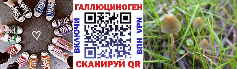 Галлюциногенные грибы Psilocybine cubensis  kraken ССЫЛКА  Мариинский Посад 